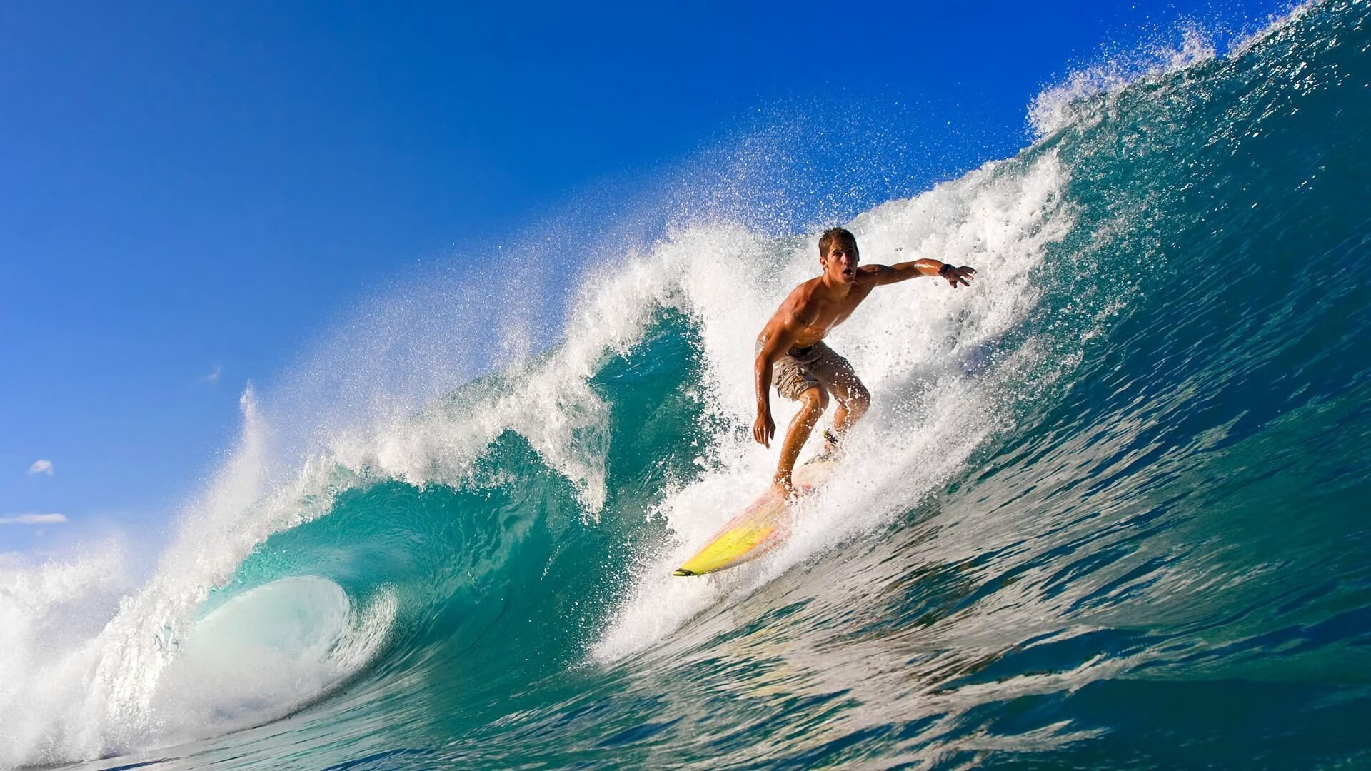 青少年极限攀岩巡回赛，登顶梦想极限！，青少年攀岩体能培训